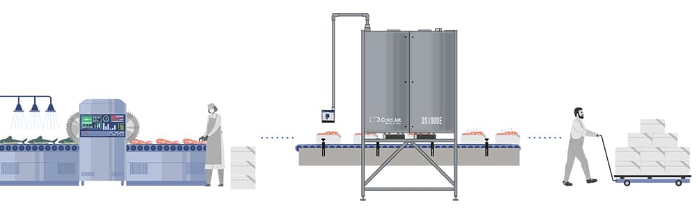 Dry Ice cooling for food shipping