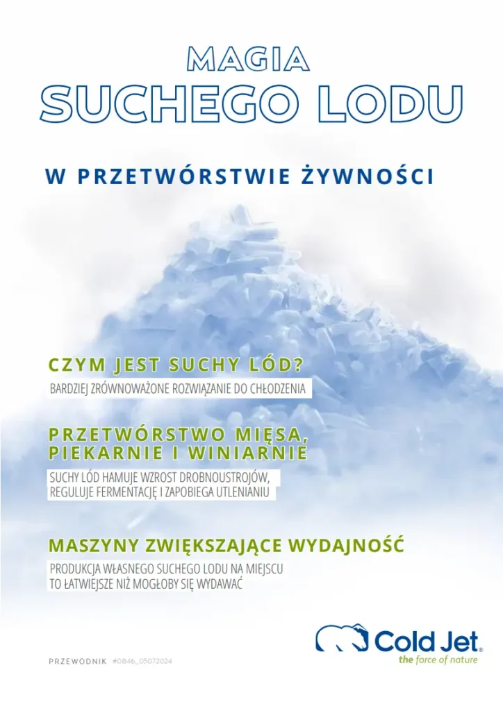 MAGIA SUCHEGO LODU W PRZETWORSTWIE ZYWNOSCI